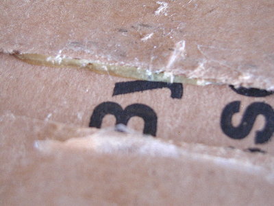 P7180030.JPG