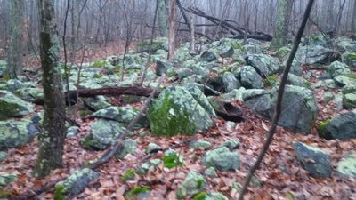 Hiking on A trail Bolders glowing (640x360).jpg