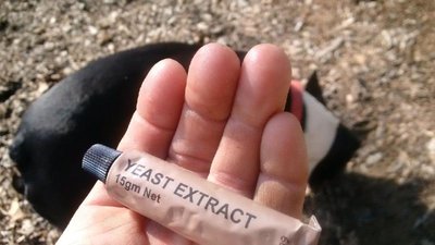 River trip March 2016 Yeast Extract.jpg