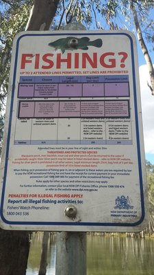 There are fish out there. Maybe next time I will throw in a line.....