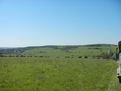 DSCN1443.JPG