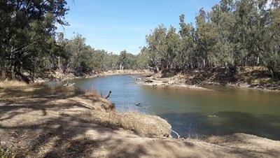 20160427_132815.jpg (127.39 KiB) Viewed 7846 times You can see where the water gets to in flood. Lots of snags and sand bars at the moment though