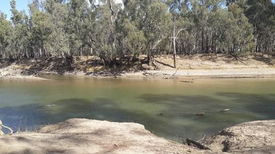 20160427_132819.jpg (632.54 KiB) Viewed 7841 times Something to look at while waiting for my lunch to cook