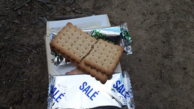 20160427_133414.jpg (436.05 KiB) Viewed 7845 times Not to badly damaged.