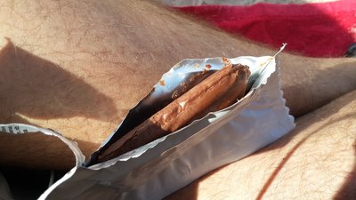 20140608_124429.jpg (356.91 KiB) Viewed 12574 times Chocolate covered cookie