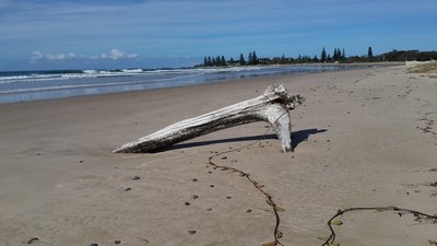 20150603_110940.jpg (310.44 KiB) Viewed 12460 times Looking back towards the village and headland on the main (front beach)