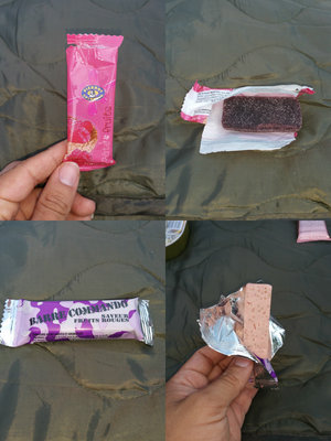 frenchmre2.jpg