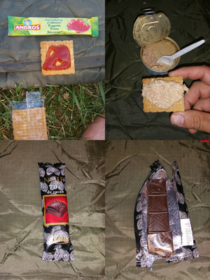 frenchmre6.jpg