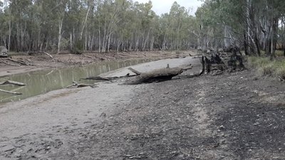 20160709_165246.jpg
