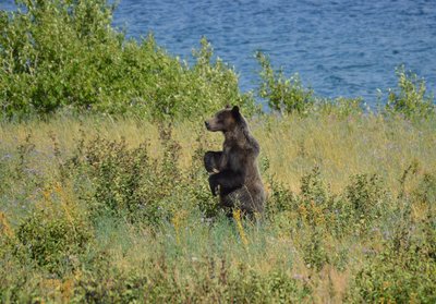 DSC_3459.JPG