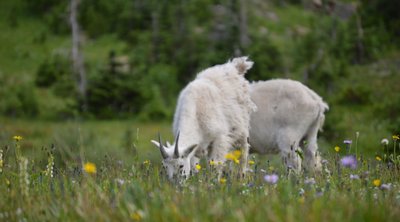 DSC_3722.JPG