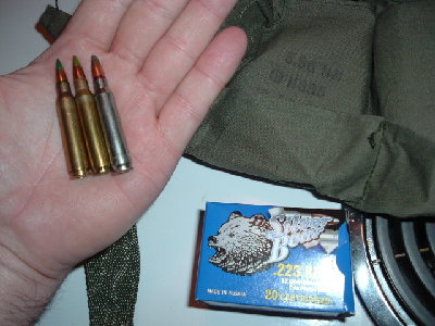 Bear556-1.jpg