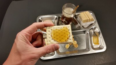 14380035_958346837607197_3491680436207055234_o.jpg