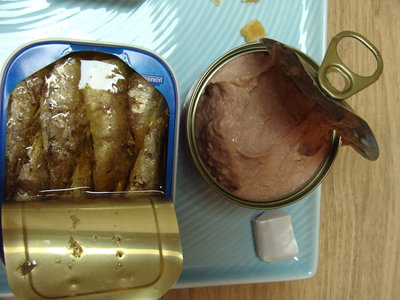 DSC04853.JPG