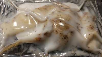 20170128_014606.jpg