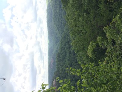 IMG_0500.JPG