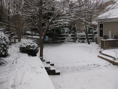 snow-back.jpg