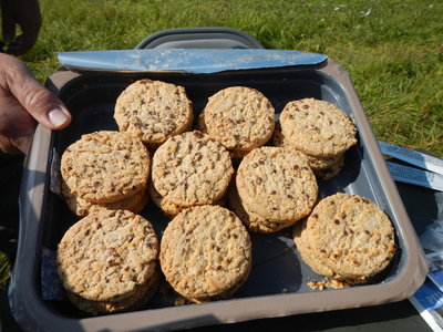 DSCN4185.JPG