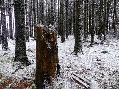 Bastogne 2017 gr Kam 438.JPG