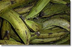 platanos.jpg
