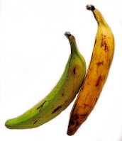 plantainsGreenYellow.jpg
