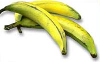 plantains_02.jpg