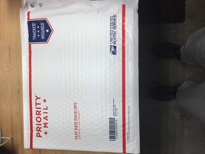 USPS padded envelope it it fits it ships.jpg