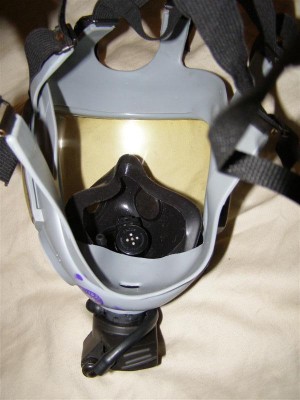 P6120031 (Medium).JPG