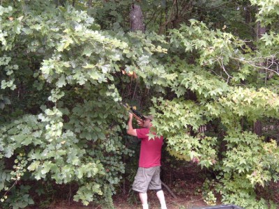 Squirrel Sniping 3.jpg