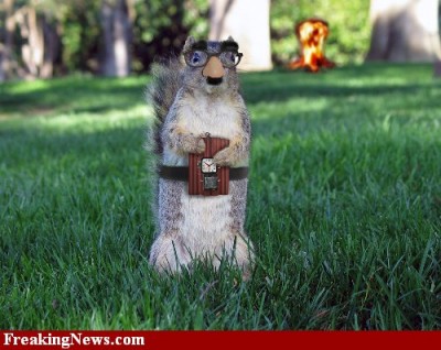 Squirrel-Weapon--29938.jpg