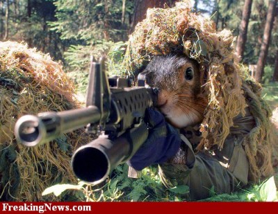 Sniper-Squirrel--30002.jpg (71.68 KiB) Viewed 8459 times Silent ..but deadly!