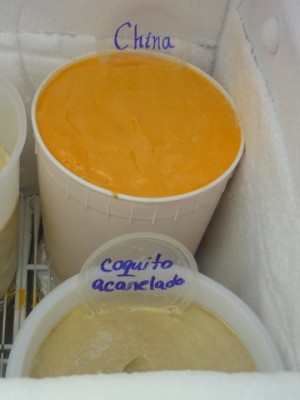 Lares-helados de china y coquito acanelado.jpg