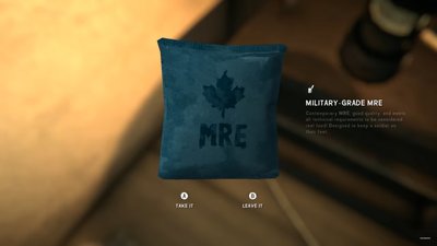 The Long Dark MRE 01.jpg