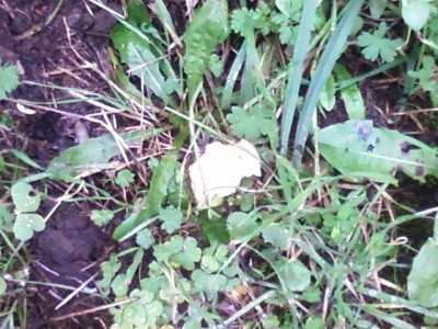 Photo-0034.jpg