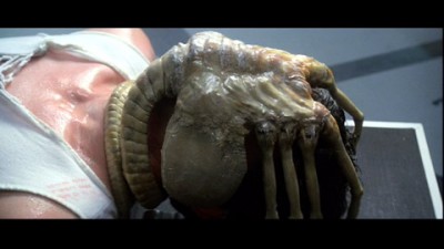 alien_facehugger_001_1197062102.jpg