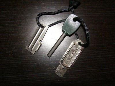 P1010004 (Large).JPG