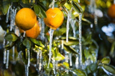 ss-100111-snow-03_ss_full.jpg