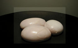 lamb animelles.jpg