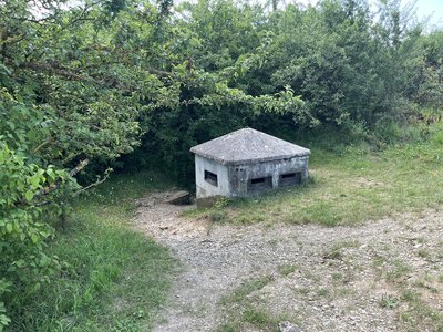 IMG_1789.JPEG