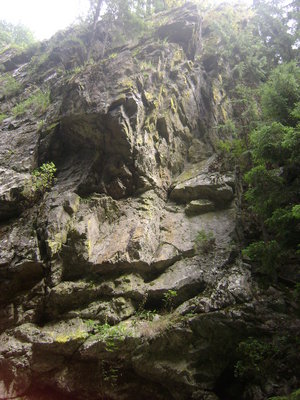 DSC02221.JPG
