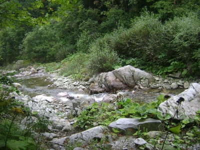 DSC02241.JPG