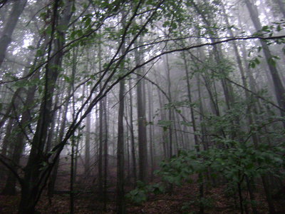 DSC02244.JPG