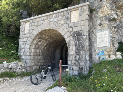 IMG_4626.JPEG