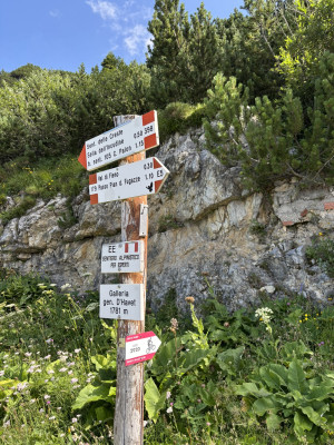 IMG_4628.JPEG