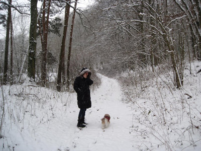 Snowwalk3.jpg