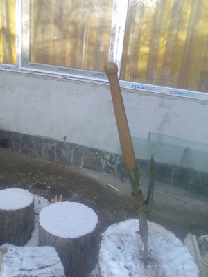 Imag003.jpg