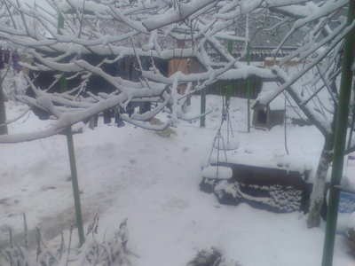 Imag007.jpg