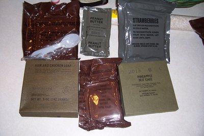 100_1231.JPG