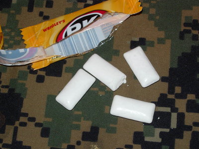 DSCN1911.JPG (782.48 KiB) Viewed 10724 times Super Minty