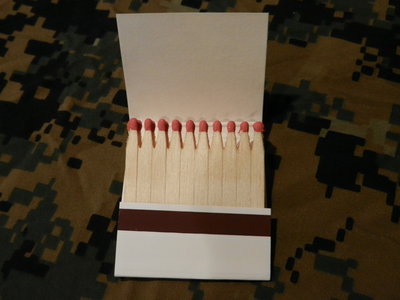 They are wooden! a book of wooden matches very nice